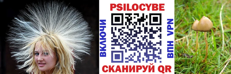 где купить наркоту  Среднеколымск  Псилоцибиновые грибы Magic Shrooms 